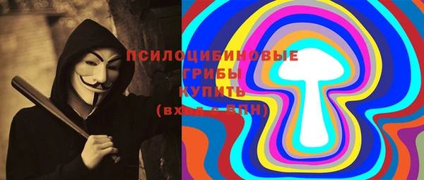 дмт Алексеевка