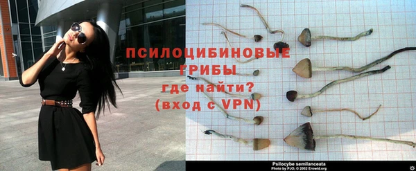 дмт Алексеевка