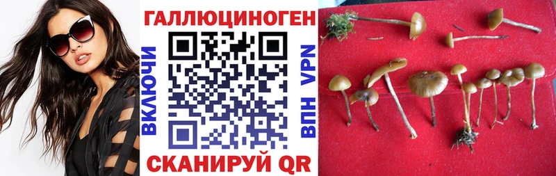 кракен как зайти  даркнет сайт  Ивангород  Галлюциногенные грибы Magic Shrooms 