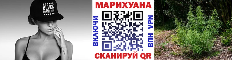 Конопля SATIVA & INDICA  площадка формула  Ивангород 